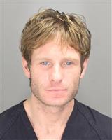 NICHOLAS KIRBY DIPONIO Mugshot / Oakland County MI Arrests / Oakland County Michigan Arrests