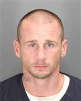 NICHOLAS JOHN CALLEJA Photo / NICHOLAS JOHN CALLEJA Images