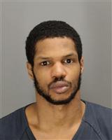 CHRISTOPHER MICHAEL JOHNSON Mugshot / Oakland County MI Arrests / Oakland County Michigan Arrests