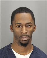 DAMIEN JAMES THOMAS Photo / DAMIEN JAMES THOMAS Images