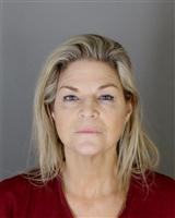 JULIE LYNNE DAVIS Mugshot / Oakland County MI Arrests / Oakland County Michigan Arrests