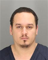 GABRIEL LUIS ESTRADA Mugshot / Oakland County MI Arrests / Oakland County Michigan Arrests