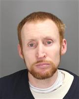 RYAN PAUL SERKEL Mugshot / Oakland County MI Arrests / Oakland County Michigan Arrests