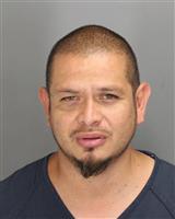 ARNOLDO S REYNA Mugshot / Oakland County MI Arrests / Oakland County Michigan Arrests