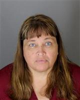 MARY ELIZABETH VINES Mugshot / Oakland County MI Arrests / Oakland County Michigan Arrests