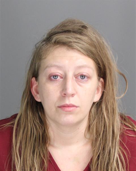 SLOANE LIZABETH LYONS Mugshot / Oakland County MI Arrests / Oakland County Michigan Arrests