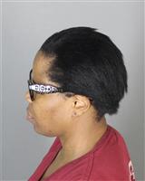 TAIRA TERICE STEVENSON Mugshot / Oakland County MI Arrests / Oakland County Michigan Arrests TAIRA TERICE STEVENSON Mugshot / Oakland County MI Arrests / Oakland County Michigan Arrests