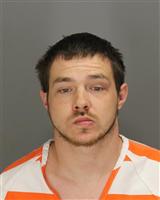 JOSHUA JOHN FARRELL Photo / JOSHUA JOHN FARRELL Images