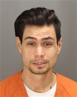 MICHAEL ERIC FRISCH Mugshot / Oakland County MI Arrests / Oakland County Michigan Arrests