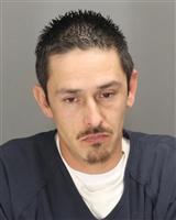 SEAN DALE CASTILLO Mugshot / Oakland County MI Arrests / Oakland County Michigan Arrests