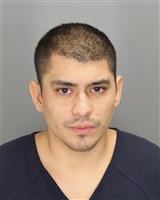 DANIEL BARRERA MOSSMAN Photo / DANIEL BARRERA MOSSMAN Images