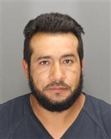 JUAN CARLOS HERNANDEZLOPEZ Photo / JUAN CARLOS HERNANDEZLOPEZ Images