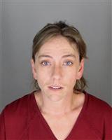 AMANDA SUE DINSER Mugshot / Oakland County MI Arrests / Oakland County Michigan Arrests