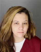 AMANDA JEAN DARNER Mugshot / Oakland County MI Arrests / Oakland County Michigan Arrests