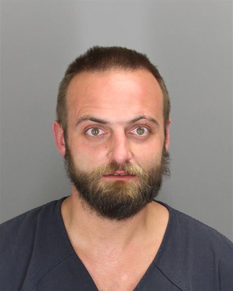 DEREK JOHN REYNOLDS Mugshot / Oakland County MI Arrests / Oakland County Michigan Arrests