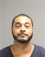 TRISTAN TYRE SHEALEY Photo / TRISTAN TYRE SHEALEY Images