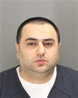 RONI PHILLIPS HIRMIZ Mugshot / Oakland County MI Arrests / Oakland County Michigan Arrests