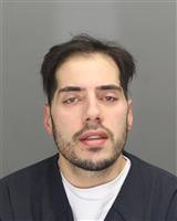 JACOB YOUSSIF KAJY Mugshot / Oakland County MI Arrests / Oakland County Michigan Arrests