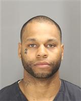 JONATHAN DION CARROLL Photo / JONATHAN DION CARROLL Images