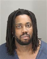 ANTHONY  HOLMES Photo / ANTHONY  HOLMES Images