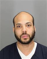 GARY  RILEY Photo / GARY  RILEY Images