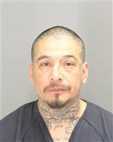 DAVE  LONGORIA Mugshot / Oakland County MI Arrests / Oakland County Michigan Arrests