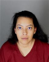 KRISTINA MARIE OYOLA Mugshot / Oakland County MI Arrests / Oakland County Michigan Arrests