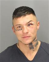 JOSH  BOLLER Mugshot / Oakland County MI Arrests / Oakland County Michigan Arrests