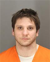 LUKE JOSEPH HOWLAND Mugshot / Oakland County MI Arrests / Oakland County Michigan Arrests