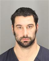 ANDREW STEVEN NOVOTNY Mugshot / Oakland County MI Arrests / Oakland County Michigan Arrests