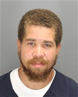 JASON LEROY STIRNEMANN Mugshot / Oakland County MI Arrests / Oakland County Michigan Arrests