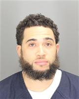 SEAN MICHAEL FRANKLIN Mugshot / Oakland County MI Arrests / Oakland County Michigan Arrests