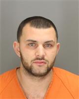 CARLOS SHANE FALU Mugshot / Oakland County MI Arrests / Oakland County Michigan Arrests