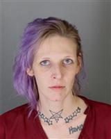 ASHLEY RUTH DUBOIS Mugshot / Oakland County MI Arrests / Oakland County Michigan Arrests