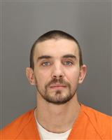BRYAN EVERTWILLIAM JOHNSON Mugshot / Oakland County MI Arrests / Oakland County Michigan Arrests