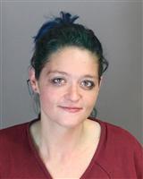 KATY ELAINE CAUDILL Mugshot / Oakland County MI Arrests / Oakland County Michigan Arrests