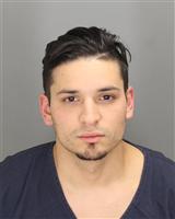 RYAN MICHAEL SANDOR Photo / RYAN MICHAEL SANDOR Images