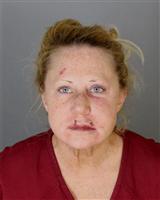STACY LYNN ISROW Mugshot / Oakland County MI Arrests / Oakland County Michigan Arrests