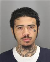 DANIEL MICHAEL GILBERT Photo / DANIEL MICHAEL GILBERT Images