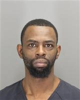 DAVID LEE GULLY Photo / DAVID LEE GULLY Images