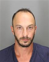 JUSTIN MICHAEL EGERTON Mugshot / Oakland County MI Arrests / Oakland County Michigan Arrests