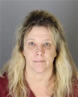 JAMIE ANN FREEMAN Mugshot / Oakland County MI Arrests / Oakland County Michigan Arrests