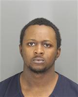 BRANDON JEROME GOWDY Photo / BRANDON JEROME GOWDY Images