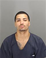 MIGUEL ANGEL ROSARIO Mugshot / Oakland County MI Arrests / Oakland County Michigan Arrests