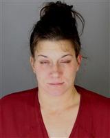 LAUREN FRANCIS NISCOROMNI Mugshot / Oakland County MI Arrests / Oakland County Michigan Arrests