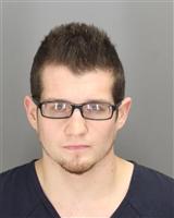 LUCAS WILLIAM FORSTER Mugshot / Oakland County MI Arrests / Oakland County Michigan Arrests