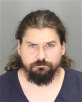 DANIEL JAMES FABIAN Mugshot / Oakland County MI Arrests / Oakland County Michigan Arrests