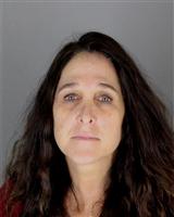 DAWN MARIE LYONS Mugshot / Oakland County MI Arrests / Oakland County Michigan Arrests