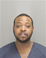 ZACHARY JAMIL STEWART Photo / ZACHARY JAMIL STEWART Images