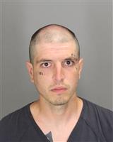 BRANDEN JAMES OKELLY Photo / BRANDEN JAMES OKELLY Images